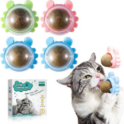 Catnip Ball Toy