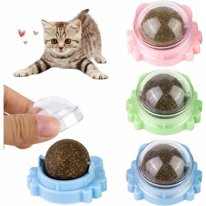 Catnip Ball Toy