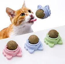 Catnip Ball Toy