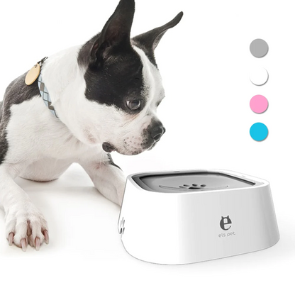 Zero Splash Dog Water Bowl